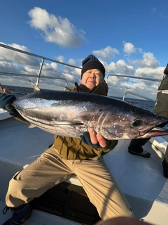 カツオの釣果