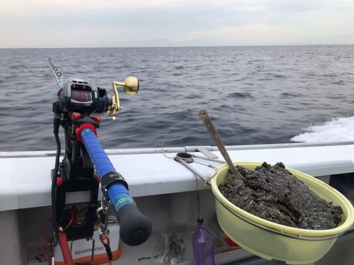 釣りキッチさんの釣果 2枚目の画像