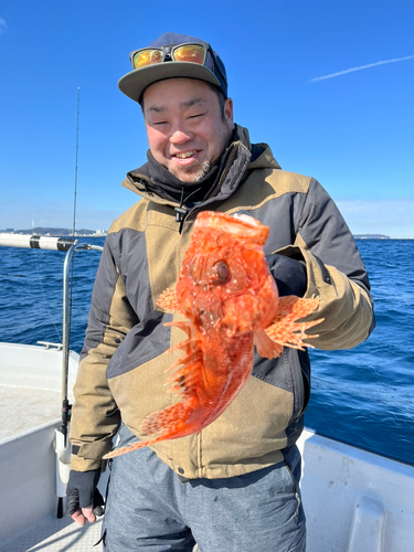 アマダイの釣果