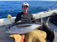 メバチマグロの釣果