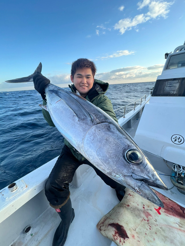 ビンチョウマグロの釣果