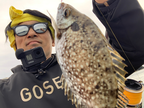 アイゴの釣果