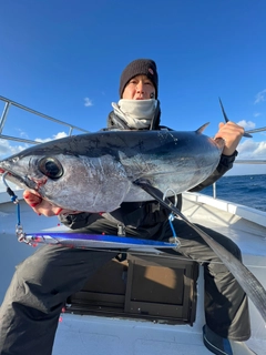 ビンチョウマグロの釣果