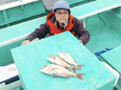 マダイの釣果