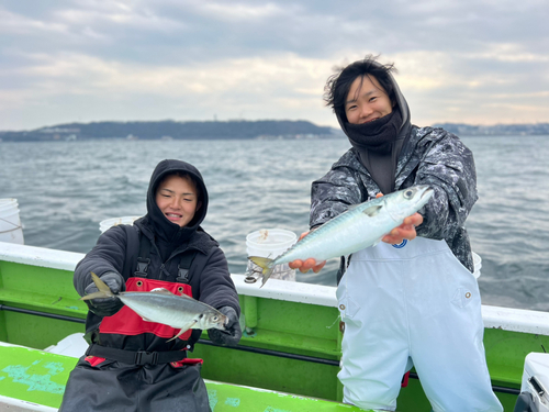 マアジの釣果