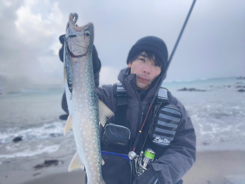 アメマスの釣果