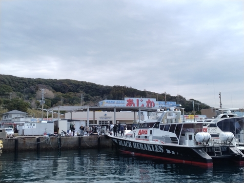 クチブトグレの釣果