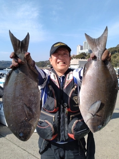 オナガグレの釣果