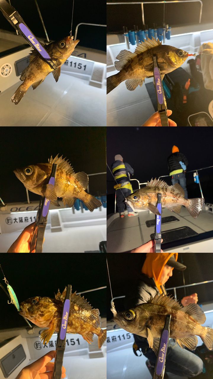 junpei.uemiさんの釣果 3枚目の画像