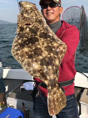 ヒラメの釣果