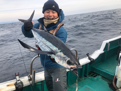 ビンチョウマグロの釣果