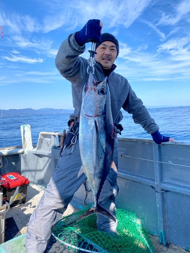 ビンチョウマグロの釣果