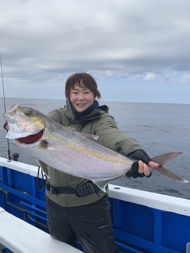 カンパチの釣果