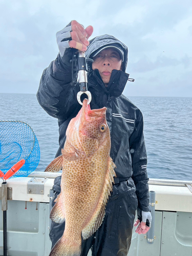 オオモンハタの釣果