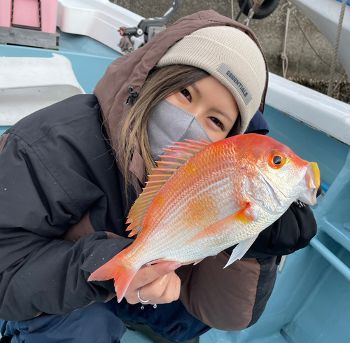 キダイの釣果