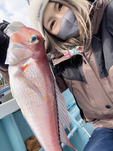 アマダイの釣果