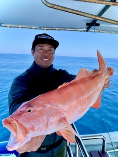 スジアラの釣果