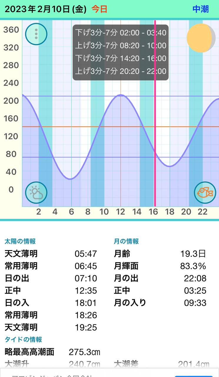 モンゴウイカ