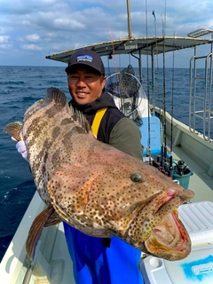 チャイロマルハタの釣果