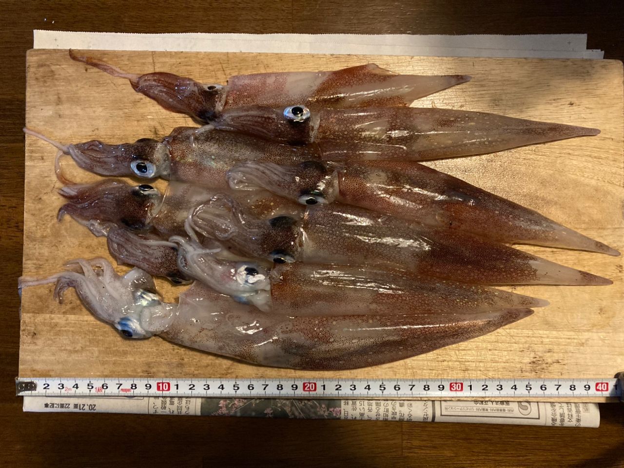 ササイカ