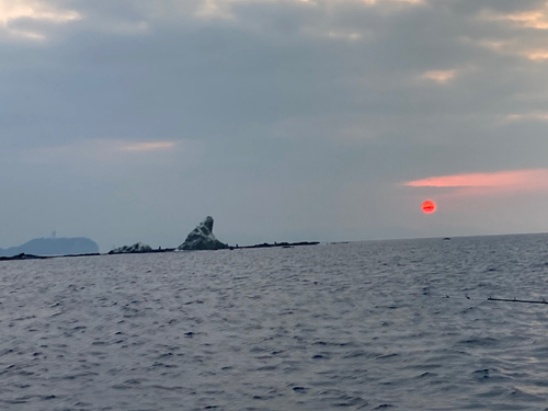 アマダイの釣果