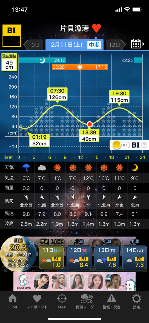 シタビラメ