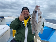 シロダイの釣果