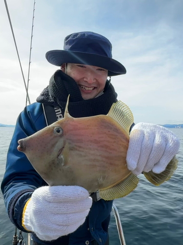 カワハギの釣果