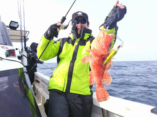 オニカサゴの釣果