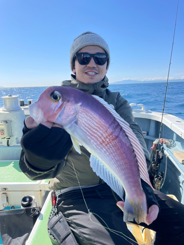 アマダイの釣果