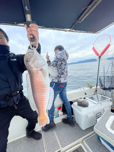 シロアマダイの釣果