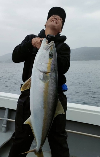 ヒラマサの釣果