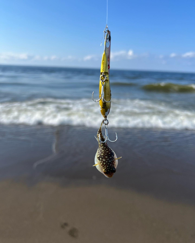 釣果