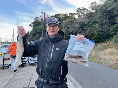 ヤリイカの釣果