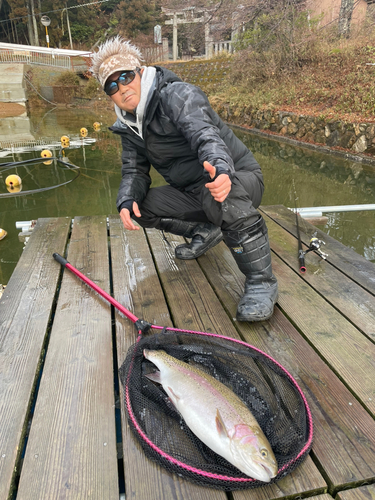 レインボートラウトの釣果