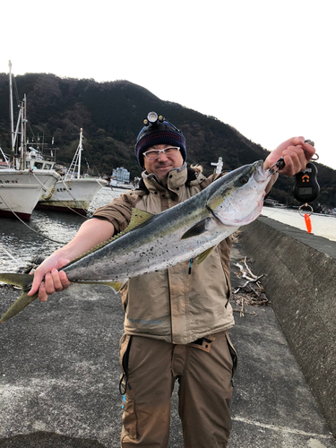 ブリの釣果