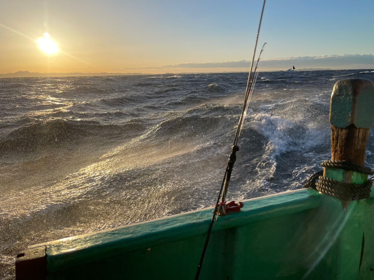 kunchanさんの釣果 2枚目の画像