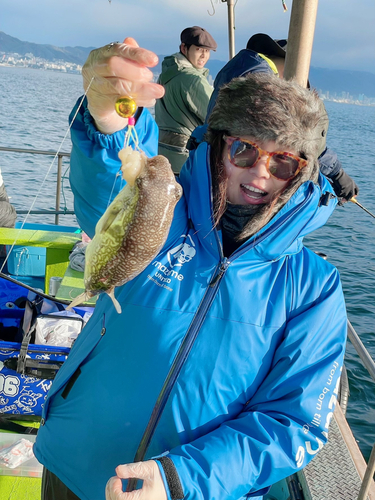 ショウサイフグの釣果