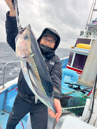 ビンチョウマグロの釣果