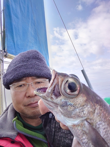 クロムツの釣果