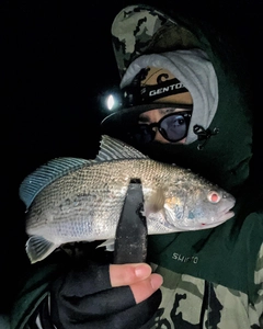 イシモチの釣果