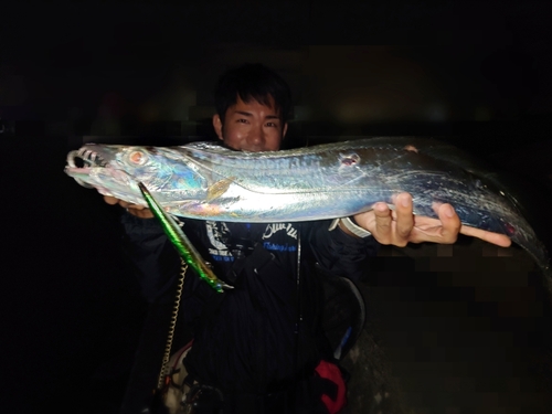 タチウオの釣果