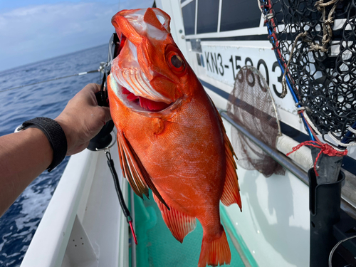 チカメキントキの釣果