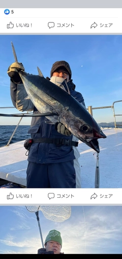 ビンチョウマグロの釣果