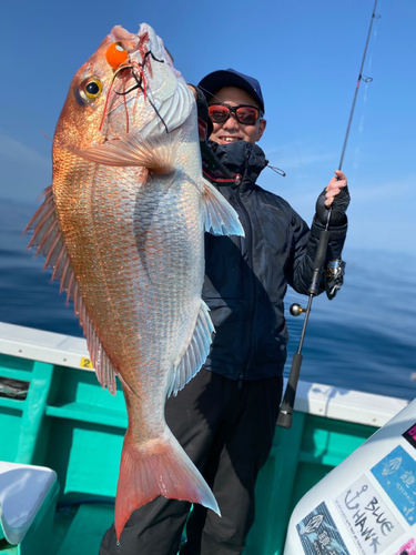 タイの釣果