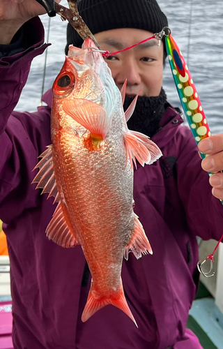 アカムツの釣果