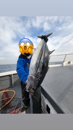 ビンチョウマグロの釣果