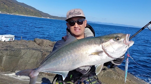 カンパチの釣果