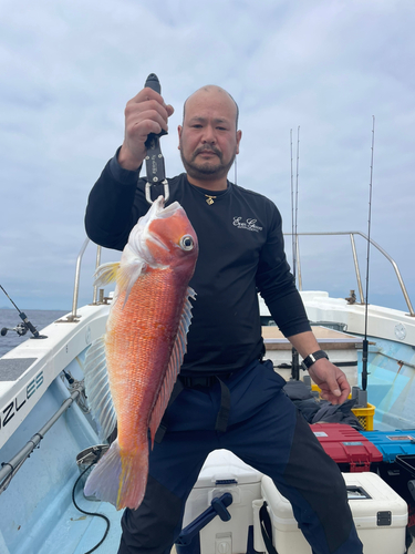 アマダイの釣果