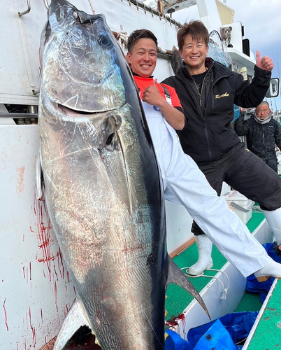 クロマグロの釣果